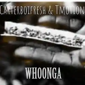 Picture for song 'whoonga ft Carterboifresh' by artist 'Tmotion SA'