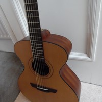 Picture for song 'Sus Scrofa' by artist 'Viking Blues'