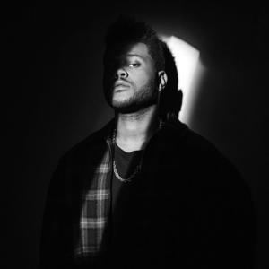 Picture for song 'Ocean (Sad Type Beat)' by artist 'YOUNG GOTTI BEATS'