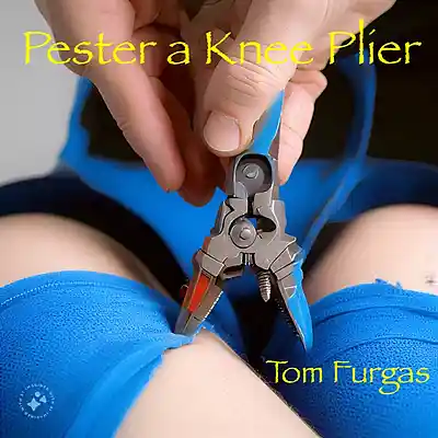 Picture for song 'Pester a Knee Plier (Tom Furgas)' by artist 'Bovine Productions'