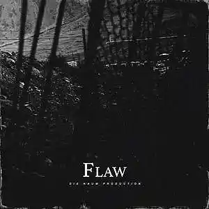 Picture for song 'FLAW (Dark Trap Beat X Angry Horror Type Beat)' by artist 'Die Naum Production'