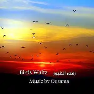 Picture for song 'Birds Waltz' by artist 'EG Music'