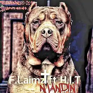 Picture for song 'F.L.Aimz Ft H.I.T - NJANDIN'(Prod By LezDee & F.B)' by artist 'F.L.aimz Lehaselara'