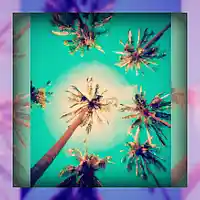 Picture for song 'Cali Bass I *** DOPE ***' by artist 'Fugitive Beatz'
