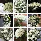 Picture for song 'LOVE IS IN THE AIR AGAIN' by artist 'lj warren'