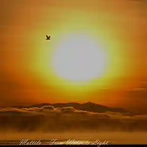 Picture for song 'water to light' by artist 'Mattila'