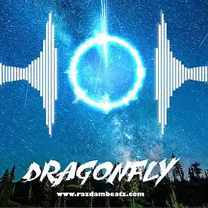 Picture for song 'DRAGONFLY (BUY 1 GET 4 FREE)' by artist 'Razdam Beatz'