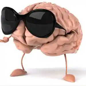 Picture for song 'Complicated Mind (Peak Mix)' by artist 'XL73'