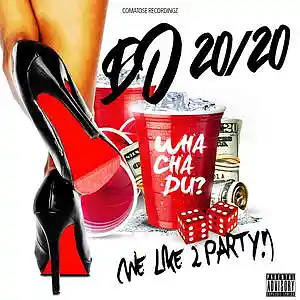 Picture for song 'WhaChaDu? (We Like 2 PARTY!)' by artist 'DJ 20-20'