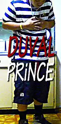 Picture for song 'WE GONE RIDE' by artist 'duval prince'