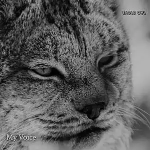 Picture for song 'My Voice' by artist 'Eagle Owl'