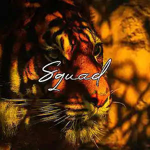 Picture for song 'Squad' by artist 'Frankenstein Beats'