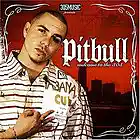 Picture for song 'Hustle Feat. Pitbull n Cubo' by artist 'Feezy350'