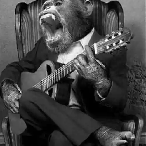 Picture for song 'Recording_25' by artist 'Meatty Okra Music'