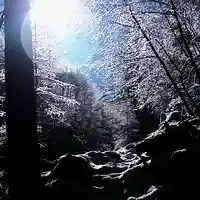 Song picture