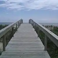 Picture for song 'ROCKIN DAVIS PARK' by artist 'THE DESTINOTICS'