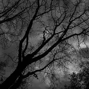 Picture for song 'Silence [lil peep type beat]' by artist 'VXAQ'