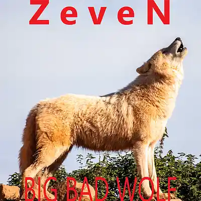 Song picture