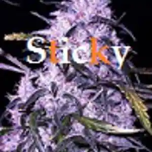 Picture for song 'Sticky' by artist 'Anac On The Beat'