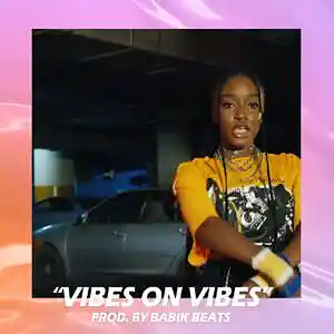 Picture for song 'Vibes On Vibes' by artist 'Babik Beats'