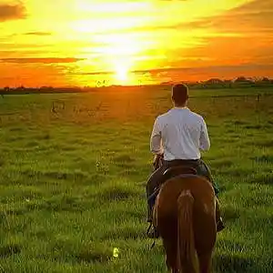 Picture for song 'cabalgó hacia el atardecer' by artist 'Hans Krauss'