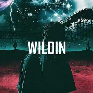 Picture for song 'Wildin - (Buy 2 Get 2 Free)' by artist 'KMBeatsOfficial'