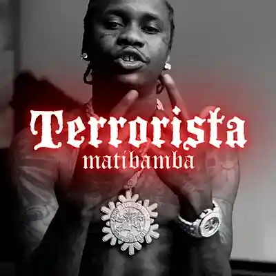 Picture for song 'Terrorista - Dancehall Type Beat' by artist 'matibamba'