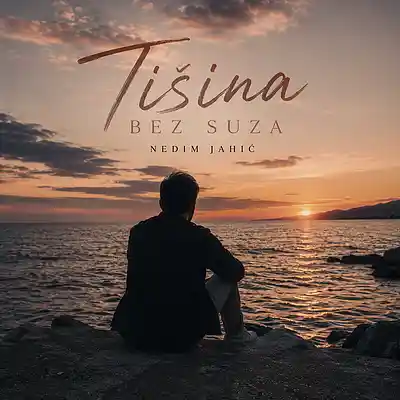 Picture for song 'Nedim Jahić - Tišina bez suza' by artist 'Nedim Jahic'
