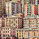 Picture for song 'Crisis' by artist 'Paolo Margari'