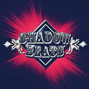 Picture for song 'Cartel' by artist 'Shadow Beats Prod'
