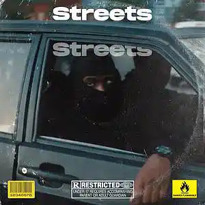 Picture for song 'Streets' by artist '8lurdy'