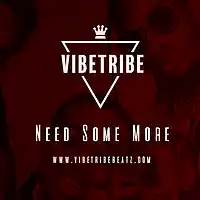 Picture for song '*NEW* Need Some More (BUY 1 GET 1 FREE)' by artist 'VibeTribeBeatz'