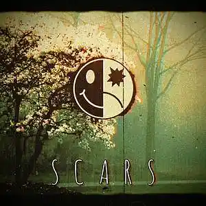 Picture for song '" S C A R S "' by artist 'B L A C K W 3 L L'