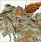 Picture for song 'PLEASE FORGIVE!' by artist 'CHROM3'