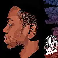 Picture for song 'Night Lights (NO SAMPLES)' by artist 'Crystal Squad'