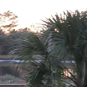 Picture for song 'Blowin in the Wind [1]' by artist 'dave musselman'