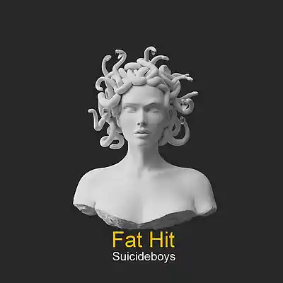 Picture for song '[FREE] Hip Hop Type Beat "Suicideboys"' by artist 'Fat Hit'