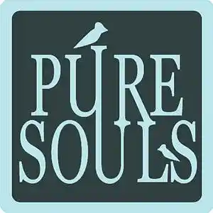 Picture for song 'PURE SOULS - CARTER IV TYPE' by artist 'Inspired Minds'