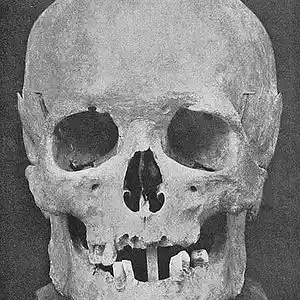 Picture for song 'Bach Prelude in D w improv solo' by artist 'JimRoss'