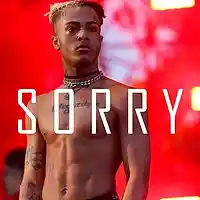 Picture for song 'Sorry (Sad XXXTENTACION Type Beat) - FREE DL' by artist 'KMBeatsOfficial'