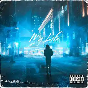 Picture for song 'My Life Demo' by artist 'Lil Vellie'