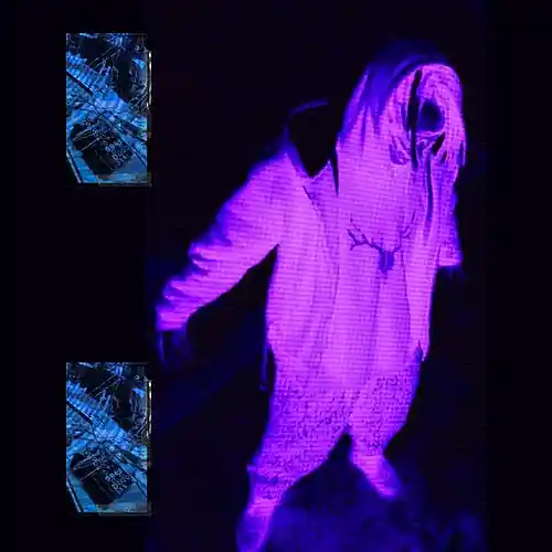 cover pic