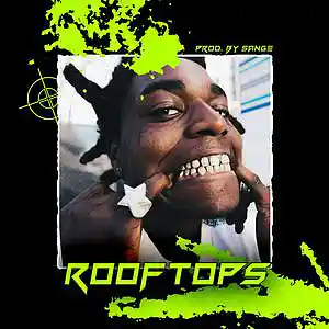 Picture for song 'Polo G x Kodak Black x Roddy Ricch - Rooftops' by artist 'sange beats'