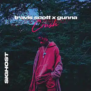 Picture for song 'Crush (Buy 1 Get 1 Free)' by artist 'SIGHOST'