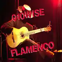 Picture for song 'Flamenco' by artist '010-Wise'