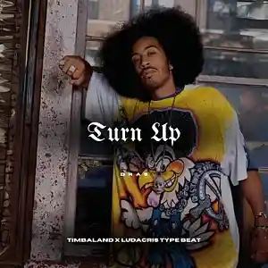Picture for song '"Turn Up" - Timbaland x Ludacris Type Beat' by artist 'Dras On The Beat'