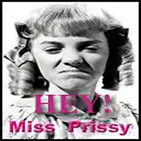 Picture for song 'Hey Miss Prissy ' by artist 'Freddy J'