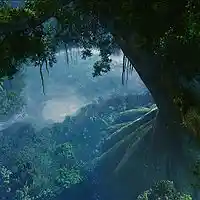 Picture for song 'Jungle ' by artist 'Gerdj and the New Octave'