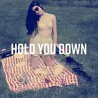 Picture for song 'Hold You Down- Prod. By @nateskatesbeats' by artist 'Nate Skates Beats'