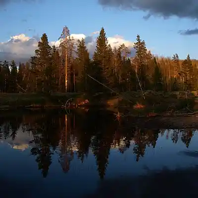 Picture for song 'life in review' by artist 'Origenal Muzik'